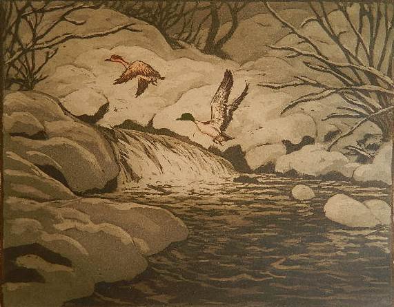 Hans Kleiber etching: Hans Kleiber- ''Mergansers''- etching, signed and titled in pencil, glued around edges to bottom mat, slightly light struck. 7 3/8 x 9 7/16''