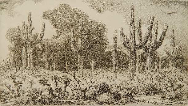 Barney M. Reid etching: Barney M. Reid- ''Papagueria''- etching, 1986, signed, titled, dated and numbered in pencil, very good condition. 4 7/8 x 8 7/8''