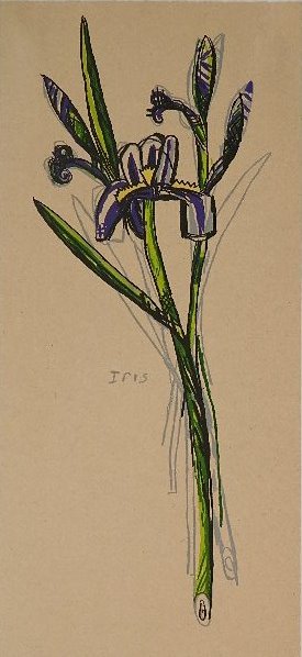 David Bates lithograph: David Bates (American 1952- )- ''Iris''- lithograph in colors, 1998, signed, dated and numbered 22/75 in pencil, very good condition. 24 x 11''