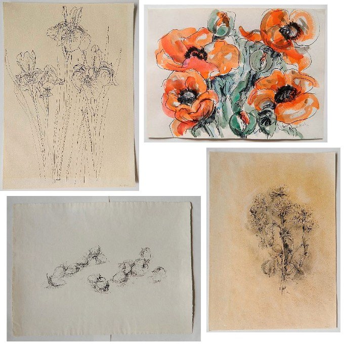 Janet Mack 4 pen and ink: Janet Mack- ''Iris''; ''Mums''; ''Four Poppies''; and ''Strawberries''- 4 pen and ink, 2 signed in ink, light struck, tape and adhesive residue verso, minor handling creases, various sizes.