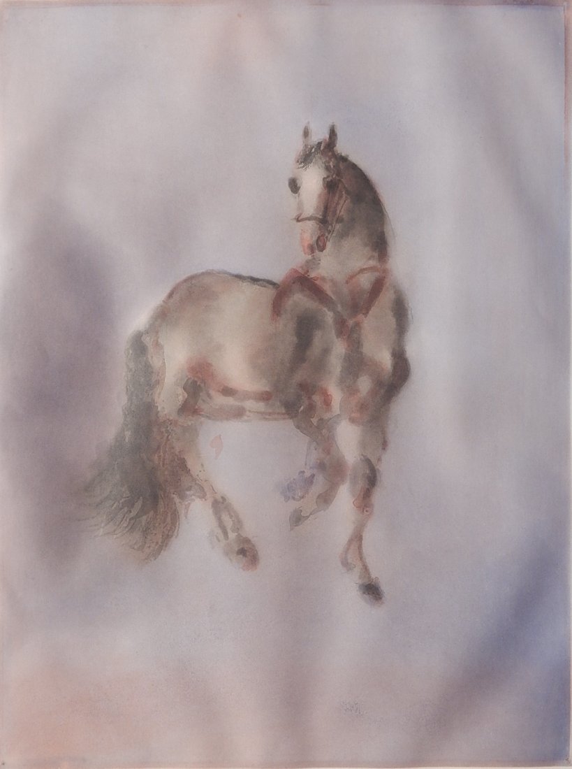 Kaiko Moti aquatint: Kaiko Moti- ''Le Cheval''- aquatint in colors, signed and numbered 6/120 in pencil, good condition. 22 1/4 x 16 3/4''