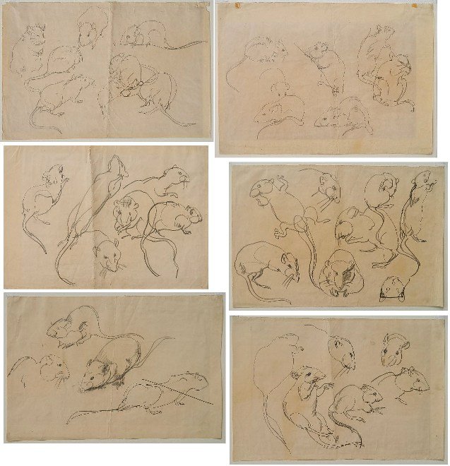 Frank Wilcox 6 graphite: Frank Wilcox- ''Mice''- 6 graphite on paper, light struck, discoloration of paper, especially on left half, handling creases throughout, vertical fold line, top edge rough, some soiling and staining.