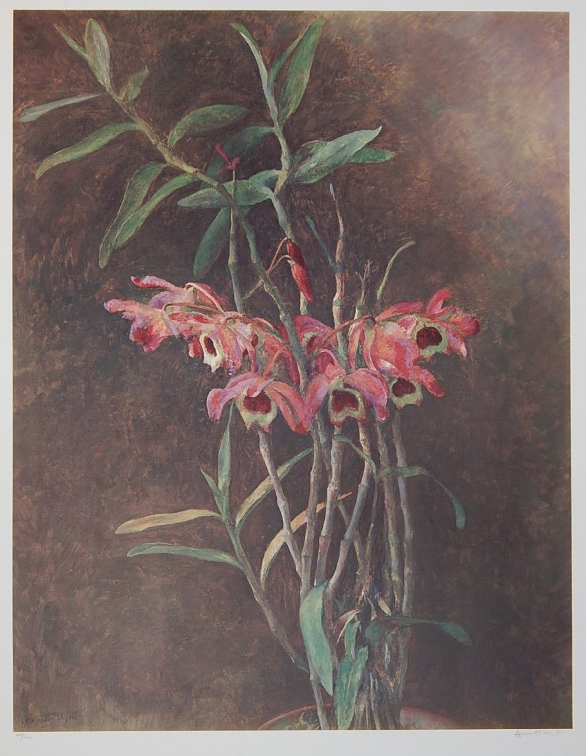 Henriette Wyeth collotype: Henriette Wyeth- ''Brazilian Orchids''- collotype, signed and numbered 468/490 in pencil, published by Santa Ana Editions, good condition. 23 3/4 x 18 1/2''