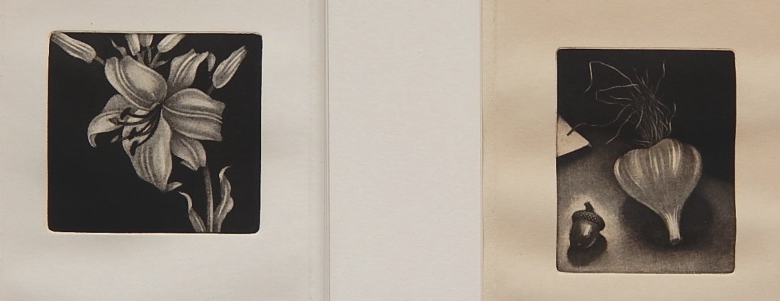 Daniel Chrzanowski mezzotints (2): Daniel Chrzanowski (American 20th/21st c.)- ''Lillium'' and ''Still Life with Acorn''- 2 mezzotints, both signed, titled and numbered 1/5 in pencil, very good condition. 4 x 4 1/4''; 4 1/2 x 3 1/2''