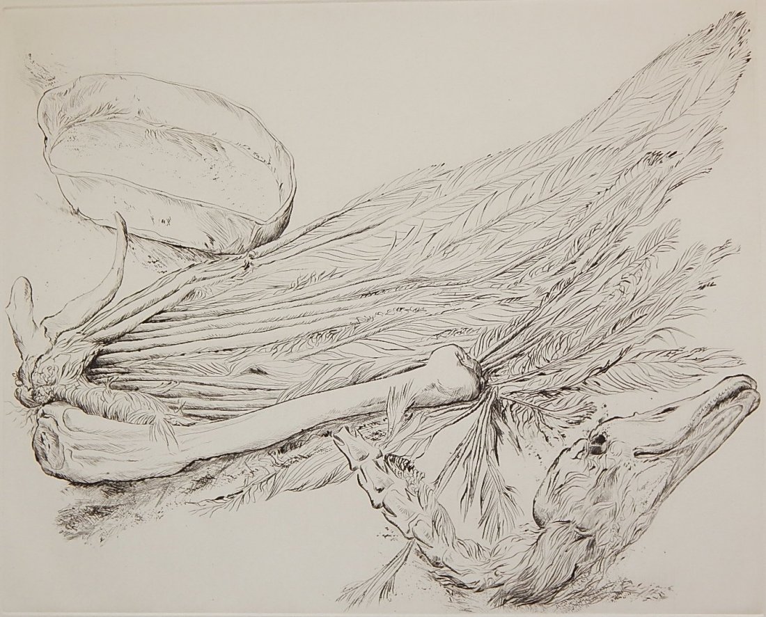 Gunter Grass drypoint: Gunter Grass (German 1927- )- ''Was von den Schwaenen Bilieb II''- drypoint, 1982, signed in pencil, special publication of The Print Club of Cleveland, edition of 90. 15 3/4 x 19 1/4''
