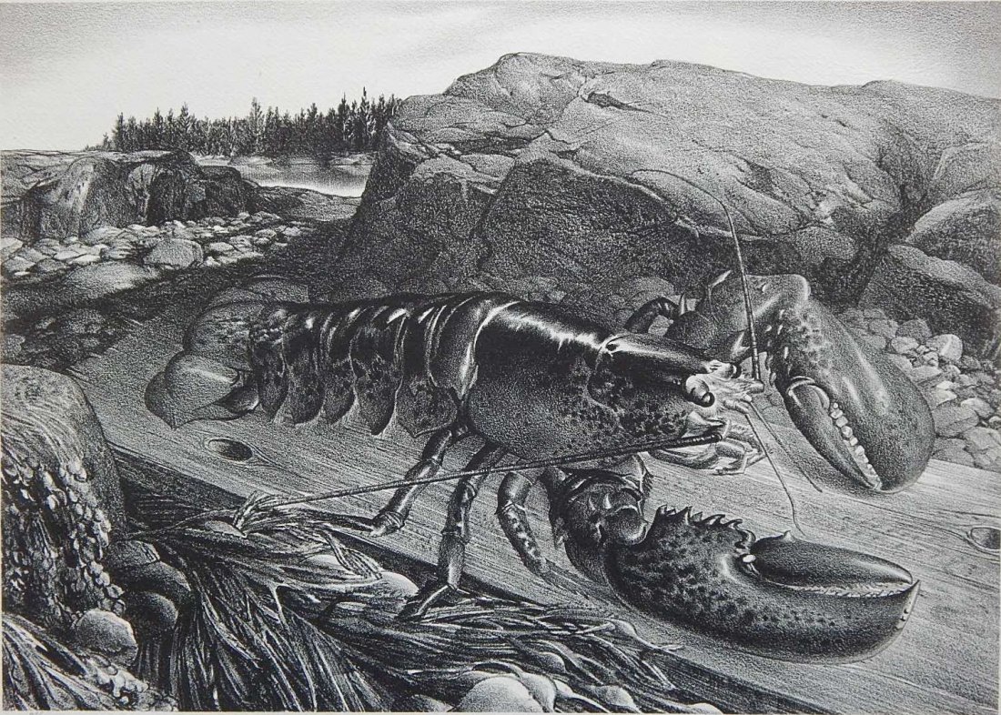 Stow Wengenroth lithograph: Stow Wengenroth (American 1906-1978)- ''Lobster (Port Clyde, Maine)'' (Stuckey 142)- lithograph, 1944, signed and inscribed 'Ed./50' in pencil, good condition. 10 1/2 x 14 7/8''