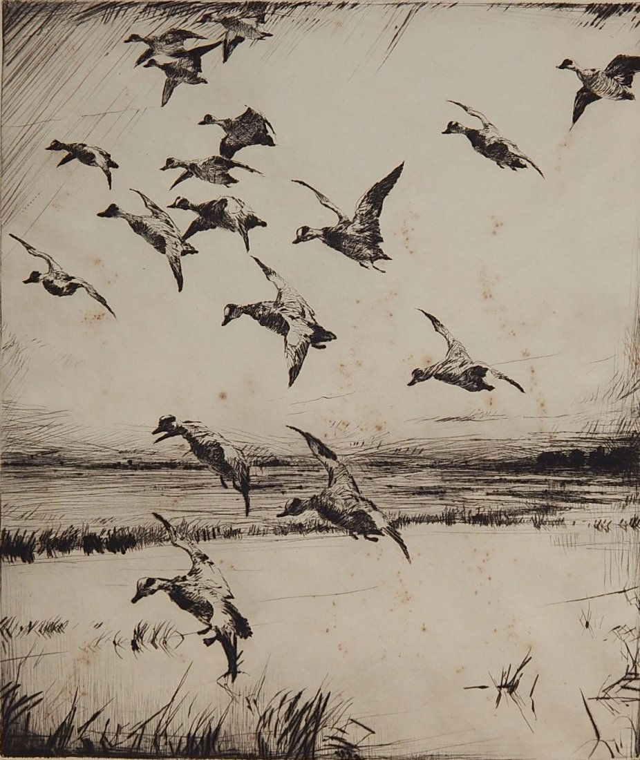 Frank Benson drypoint: Frank Benson (American 1862-1951)- ''Here They Come'' (Paff 278)- drypoint, 1928, signed in pencil, edition of 150, light struck and foxing throughout image. 13 3/4 x 11 3/4''