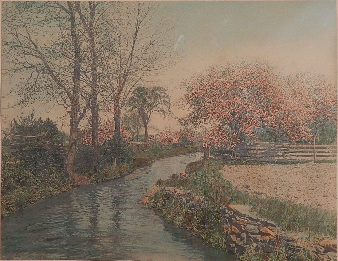 Wallace Nutting hand-tinted photograph: Wallace Nutting (American 1861-1941)- ''Spring in The Dell''- hand-tinted photograph, signed and titled in ink on mount, good condition. 10 1/4 x 13 1/4''