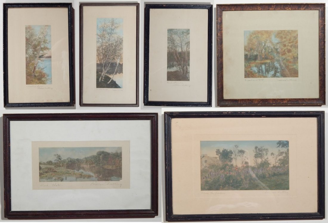 6 Wallace Nutting hand-tinted photographs: 6 Wallace Nutting hand-tinted photographs- ''Russet & Gold'', 7 3/8 x 9 1/4''; ''Birch Strand'', 9 3/8 x 4 1/8''; ''The Lake Marge'', 13 3/8 x 4 7/8''; ''A Marlboro Shore'', 9 1/2 x 4 1/8''; ''Slack W