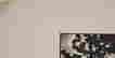 item-37495903=6