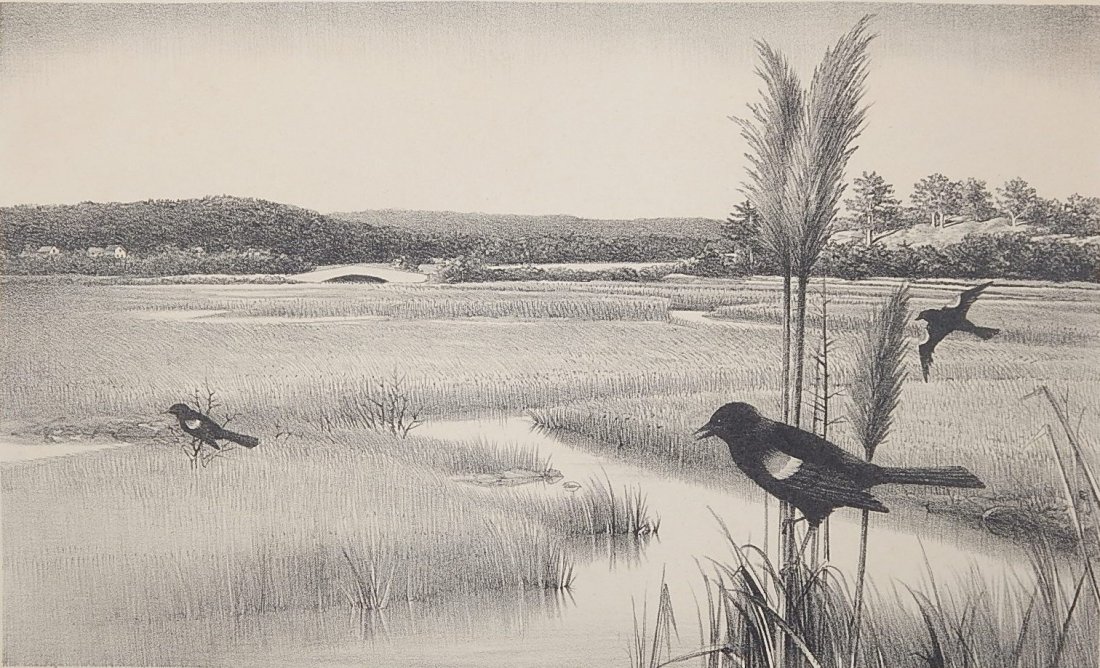 Stow Wengenroth lithograph: Stow Wengenroth (American 1906-1978)- "Cape Ann Marshes" (Stuckey 345)- lithograph, 1972, signed and annotated 'Ed/75' in pencil, light struck. 9 3/16 x 15 3/16''