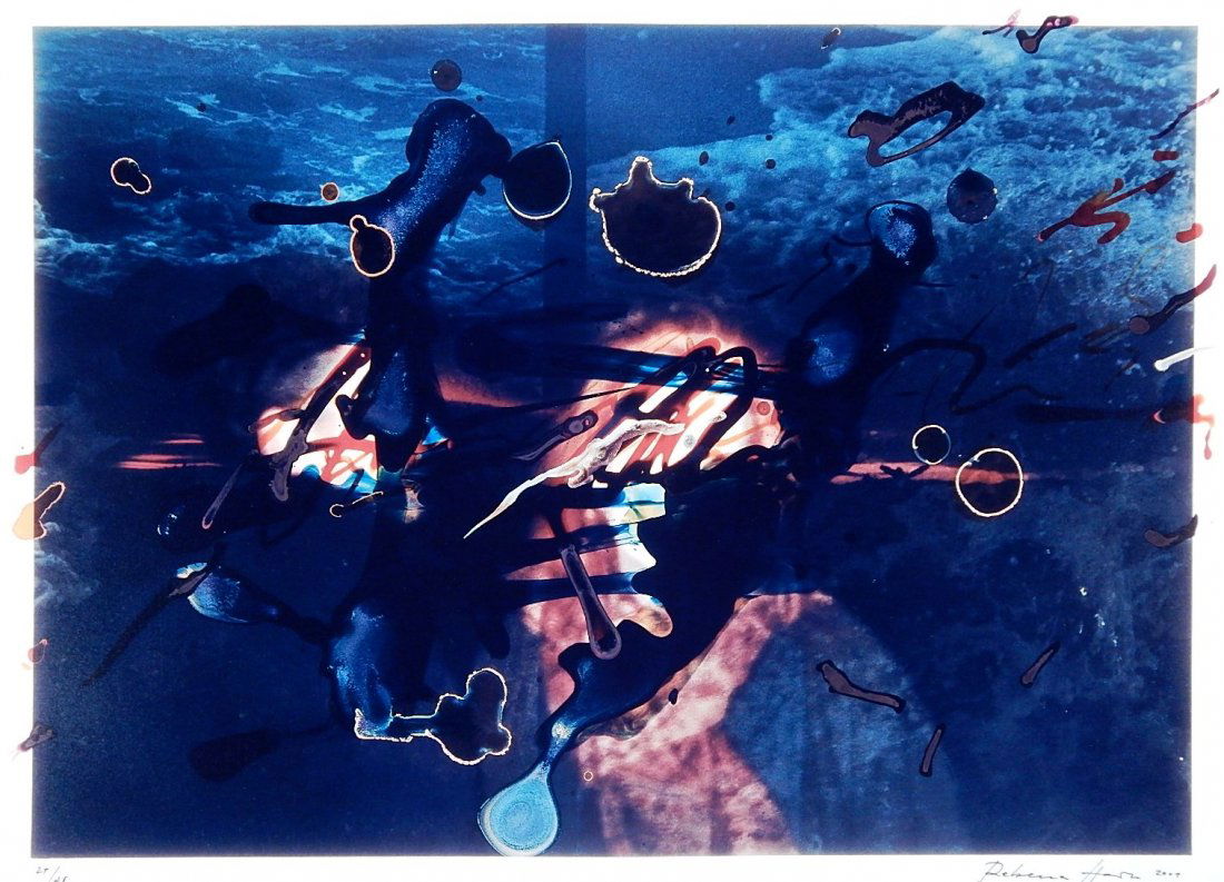 Rebecca Horn chromegenic of over-painted photo: Rebecca Horn (German 1944- )- ''Zenith of The Ocean, II''- chromegenic of over-painted photograph, 2007, signed, dated and numbered 24/28 in pen, from 'Doctor's of the World' portfolio. 22 x 31''