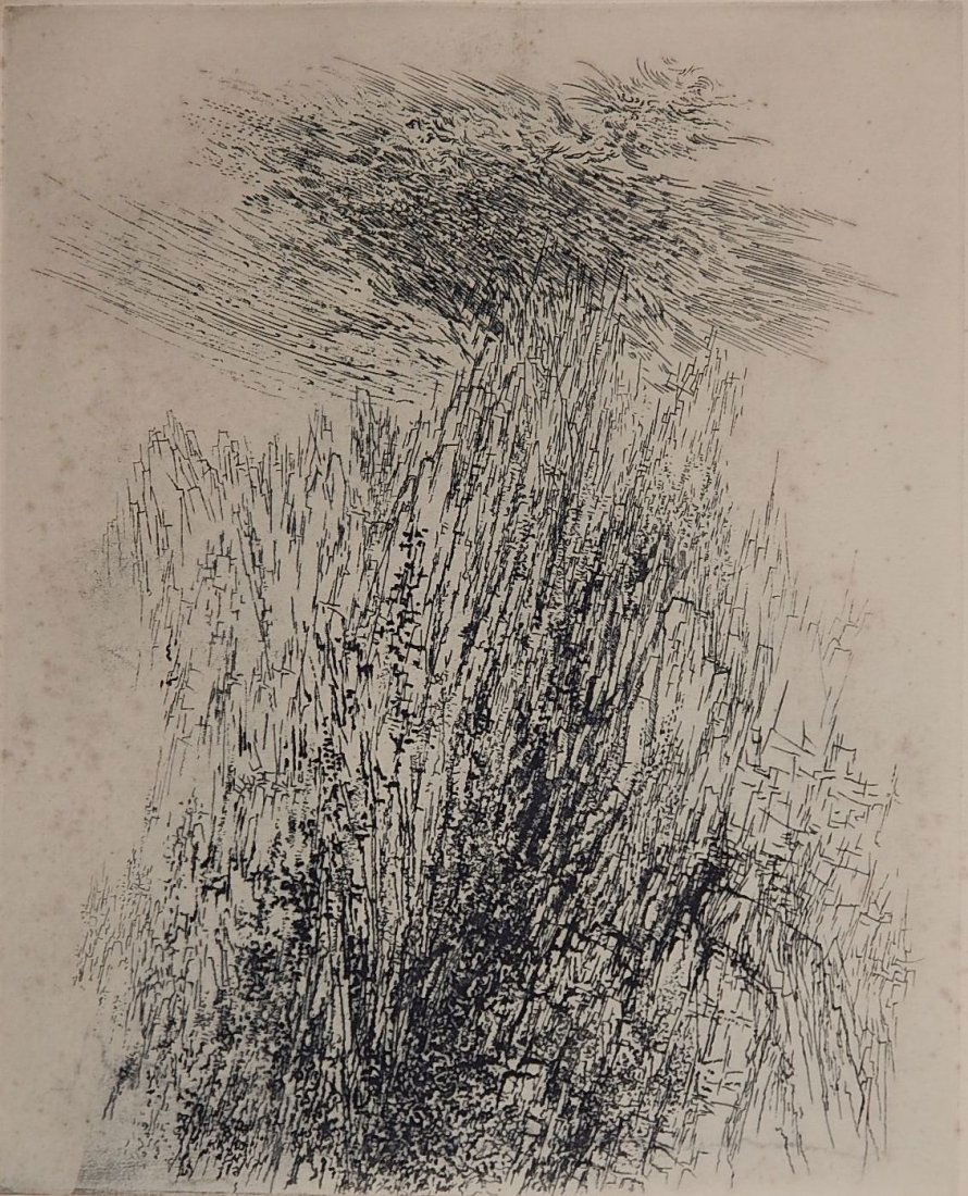 Gabor Peterdi etching (1 of 4)