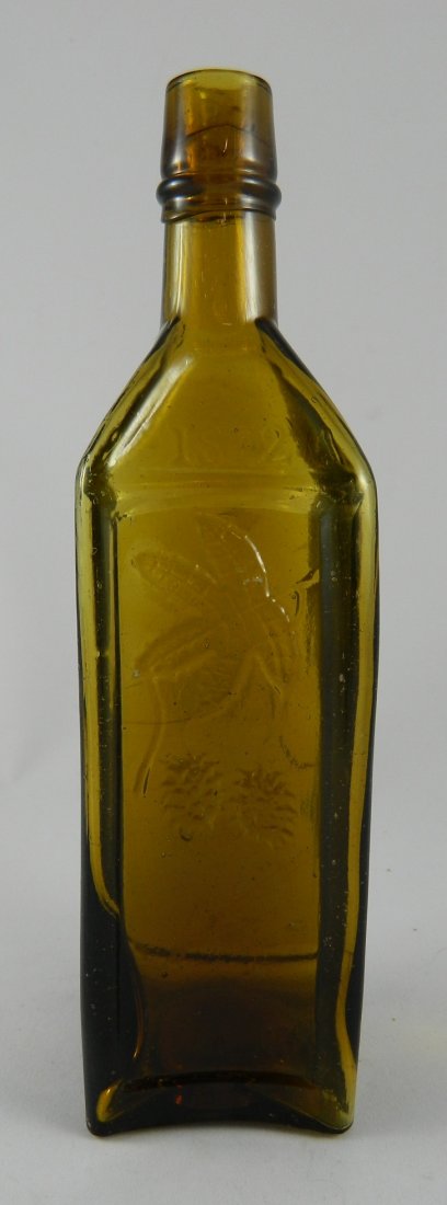 Bitters bottle - Dr. Soule's Hop Bitters 1872 (1 of 7)