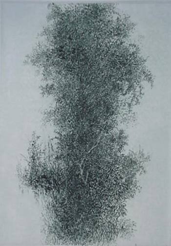 Gabor Peterdi etching (1 of 1)