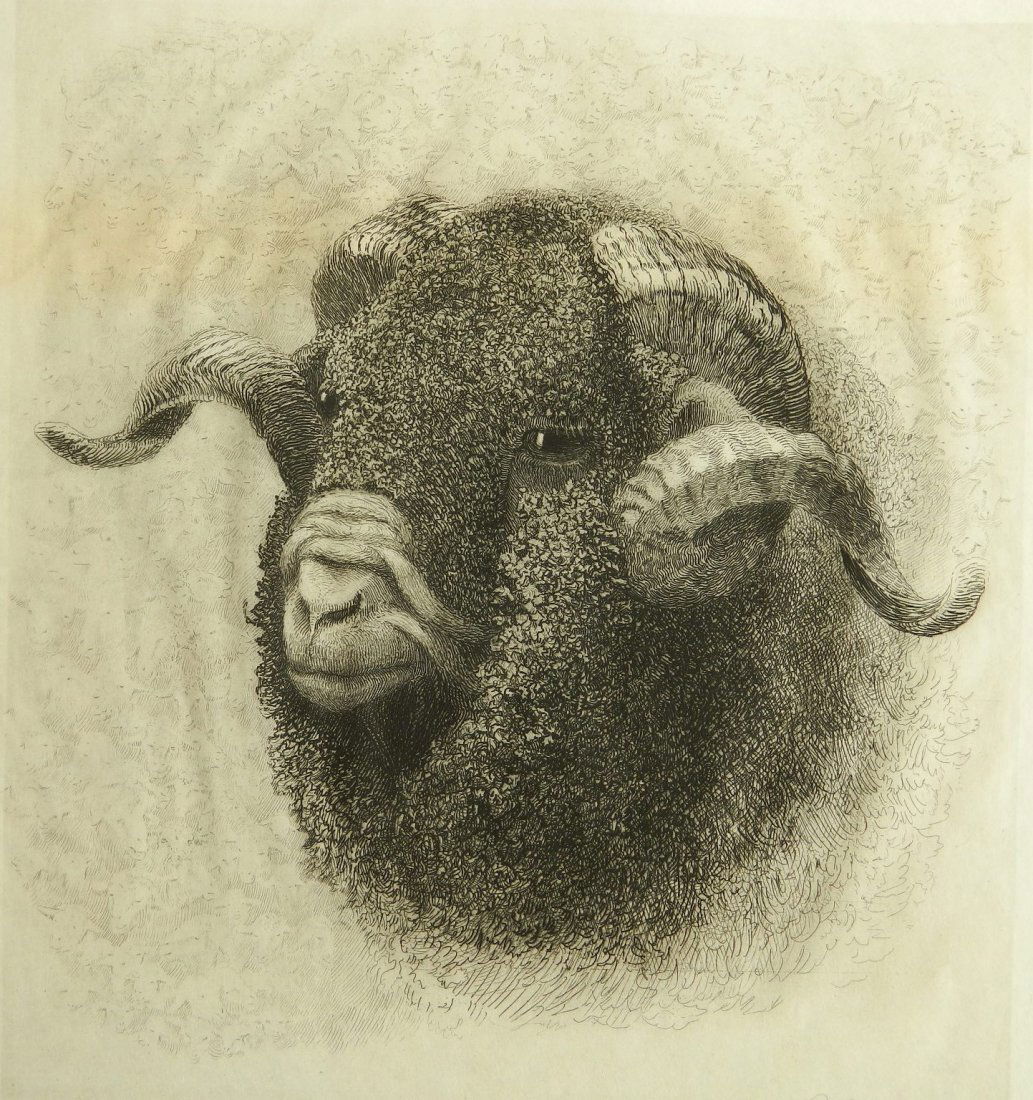 John Austin Monks etching (1 of 4)