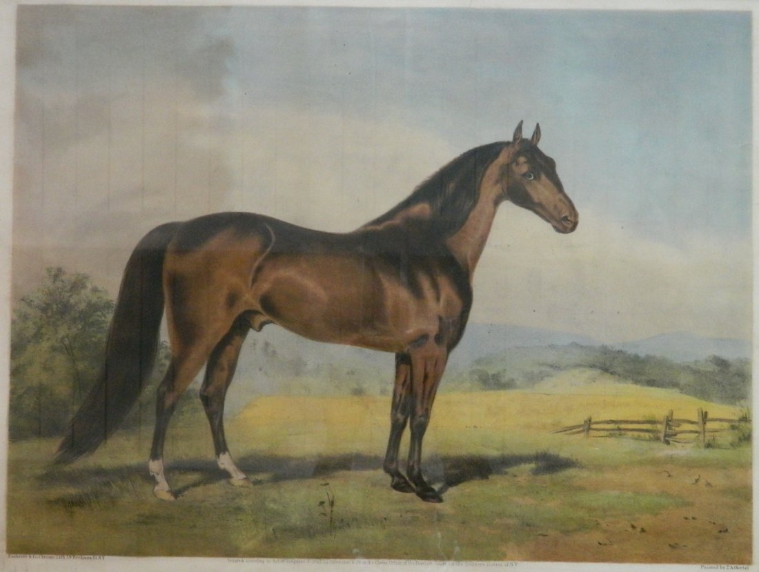 Endicott & Co. lithograph (1 of 2)