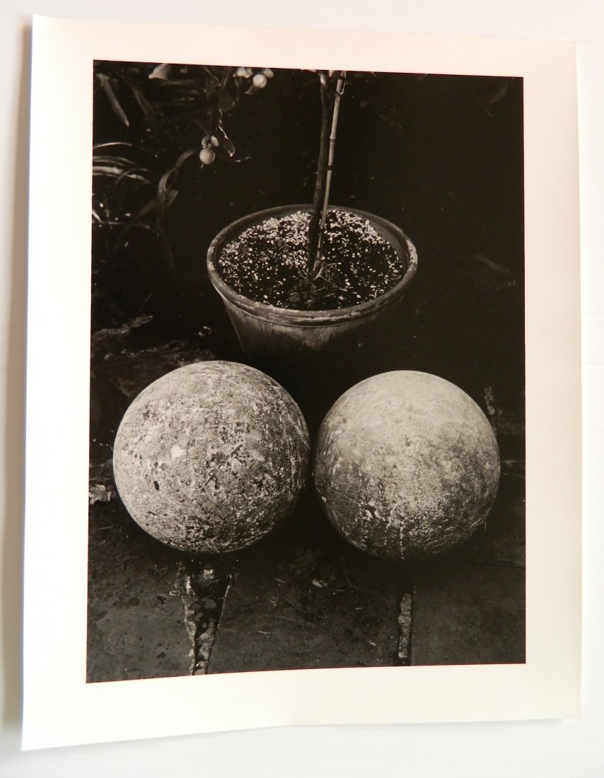 Abe Frajndlich 3 photographs (1 of 5)