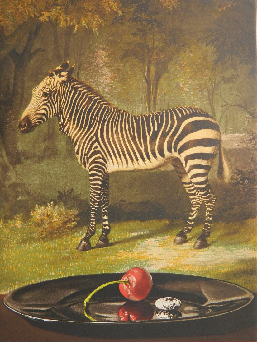 Sherrie Wolf etching (1 of 4)