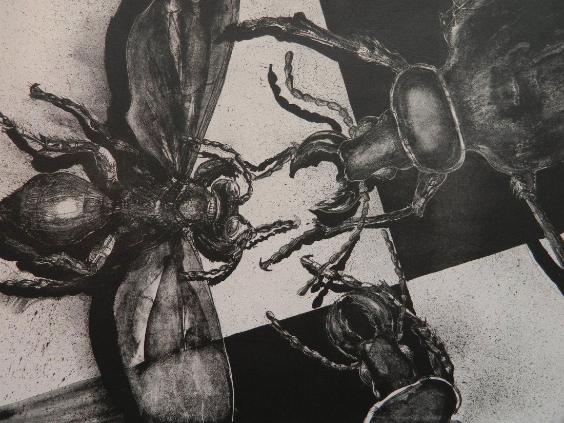 Bo Sterk lithograph (1 of 4)