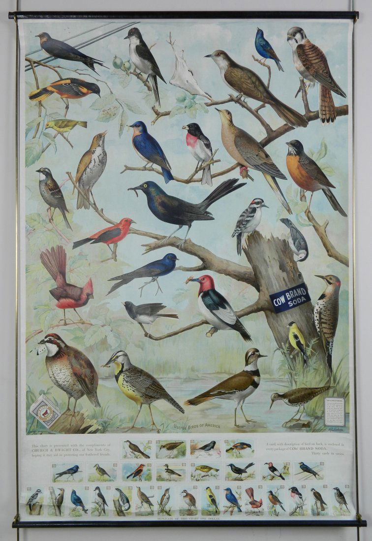 Cow Brand Baking Soda's advertisement poster (1 of 5)