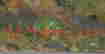item-48335641=3