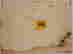 item-48335641=4