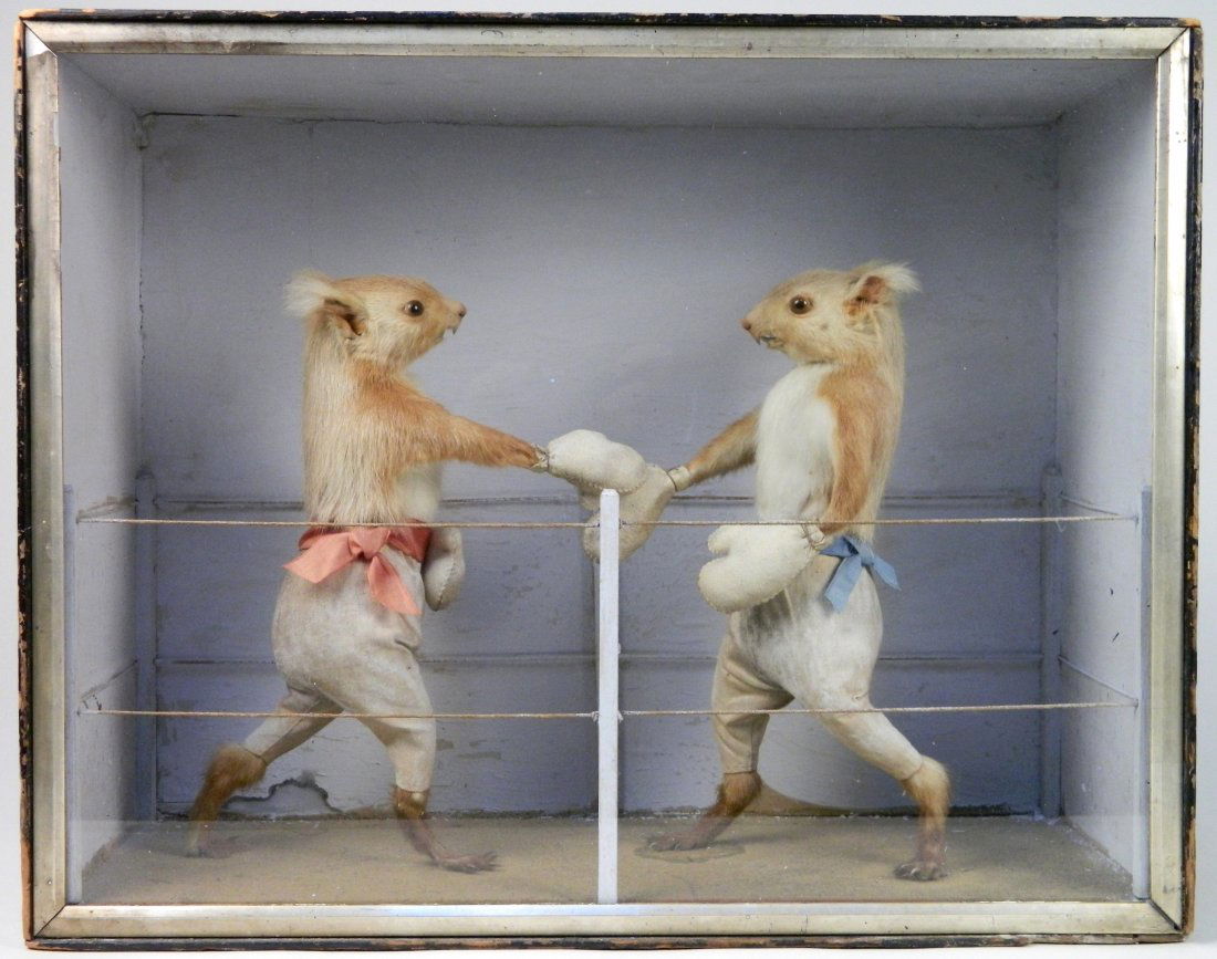 William Hart and Sons boxing squirrels: William Hart and Sons boxing squirrels- animal, glass and wood, ca. 1850's, This is number one in a set of 5 Squirrel Opponents Shaking Hands. A set was displayed at the Crystal Palace exhibition in 1