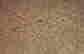 item-49546074=3
