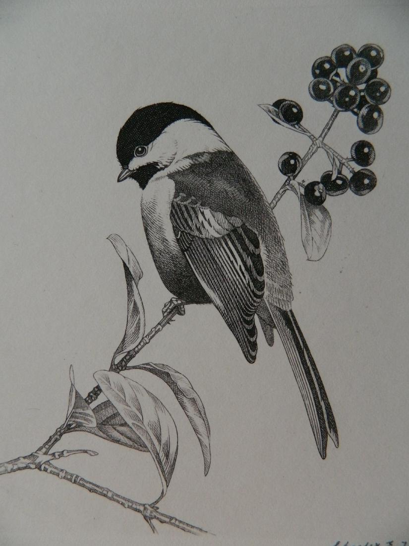 Charles Heil etching (1 of 4)