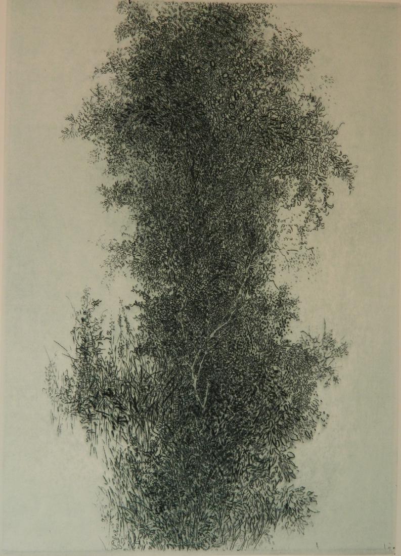 Gabor Peterdi etching and engraving (1 of 2)