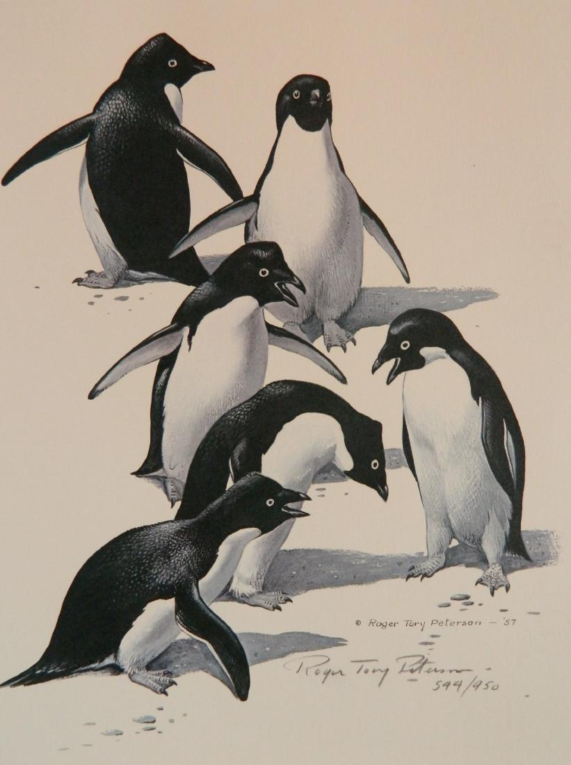 Roger Tory Peterson off-set lithograph (1 of 4)