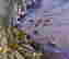item-132540115=3