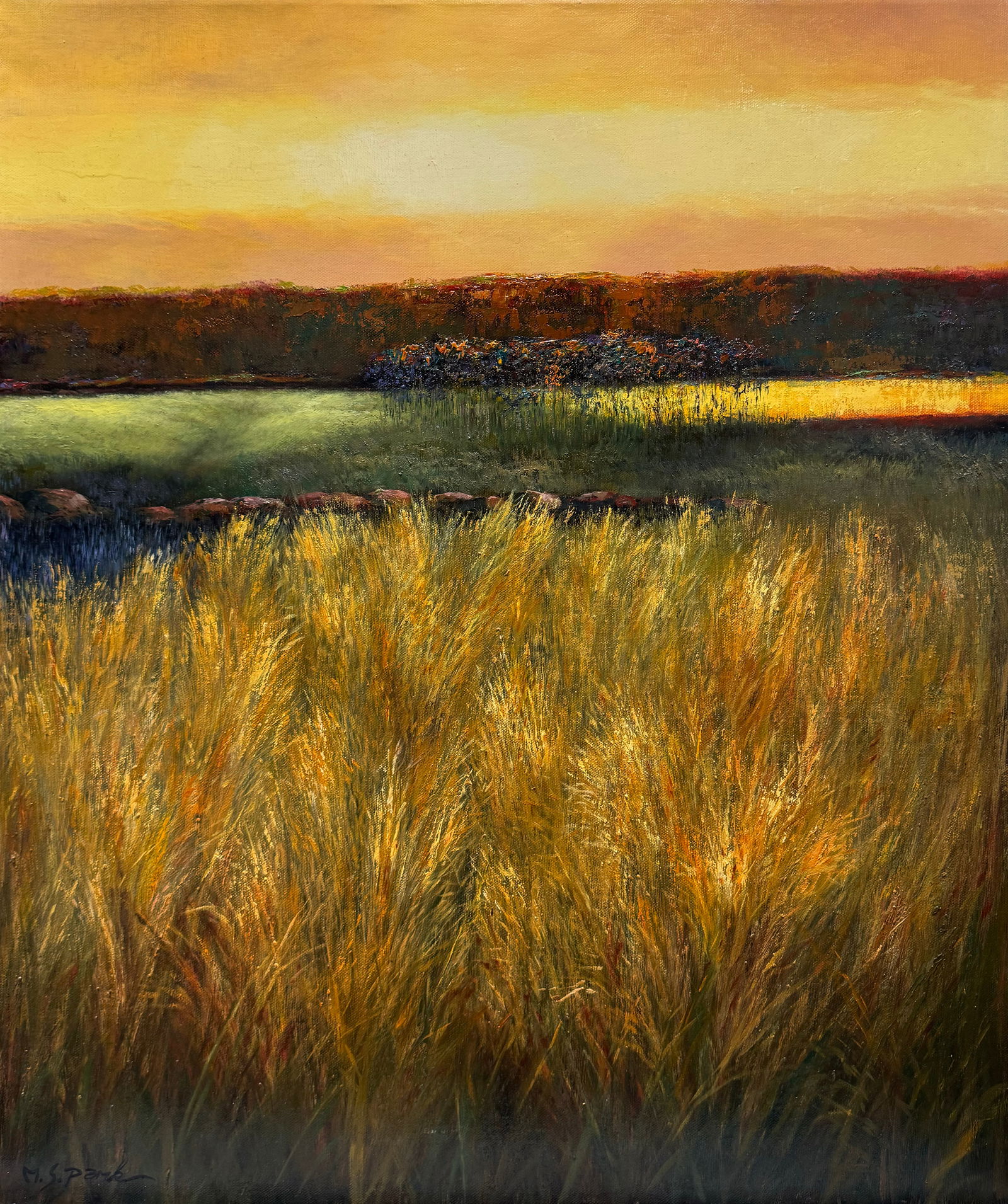 M.S. Park 20x24 Signed Original Landscape Painting (1 of 4)
