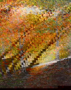 Topaz 42x53 Original Textured Autumn Landscape Painting: Artist: Topaz (Tuo Pung Jian) b.1975-, Chinese  Title: Autumn Splendor Medium: Textured Oil on Canvas Canvas Size: 42 w x 53 h Edition: Original Signature: Signed on the front bottom right corner . Ce