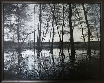 Pezhman Deljou 56.5x44.25 Framed & Handsigned Photograph