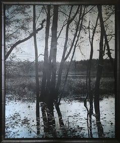 Pezhman Deljou 44.5x53.5 Framed & Handsigned Photograph