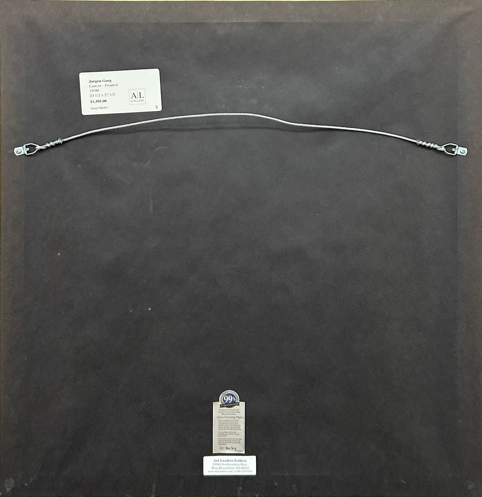 Jurgen Gorg 27.5 H x 24.5 W Cancer Framed Etching - 6