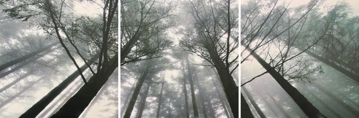 Panoramic Photograph 23.5x23.5 Triptych