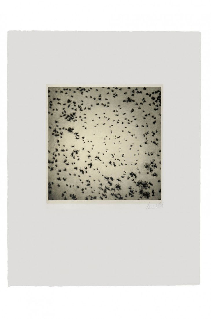 Georg Herold, Kaviar, 1991: Folge von sechs Heliogravuren, jew. auf aufgewalztem China, auf Velin. 21,3 x 20,7 cm (Darstellung); 45 x 34,4 cm (Blattgröße). Jew. rechts unterhalb der Darstellung mit Bleistift sign.: Herold. Gri