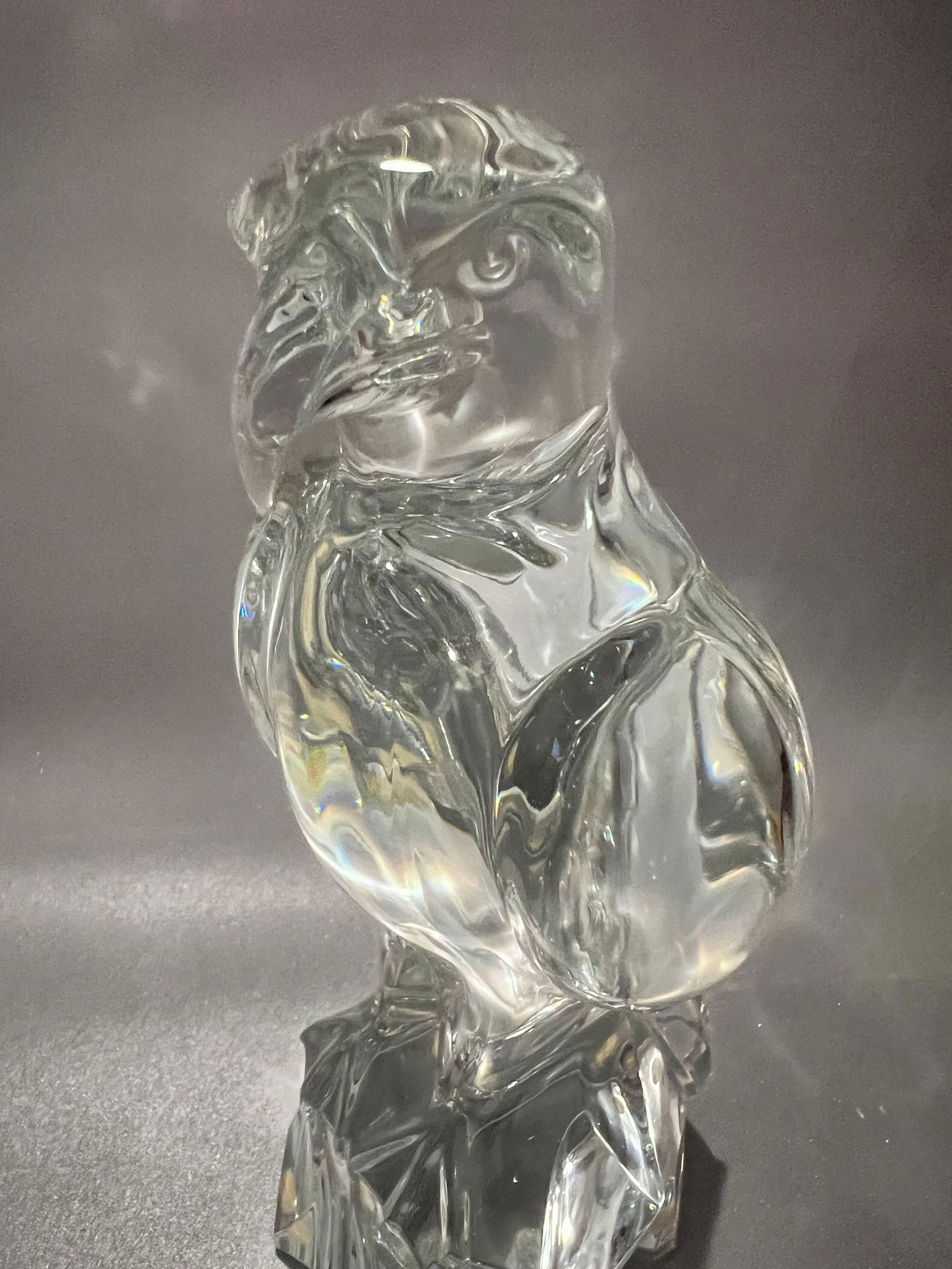 Baccarat Falcon (1 of 5)