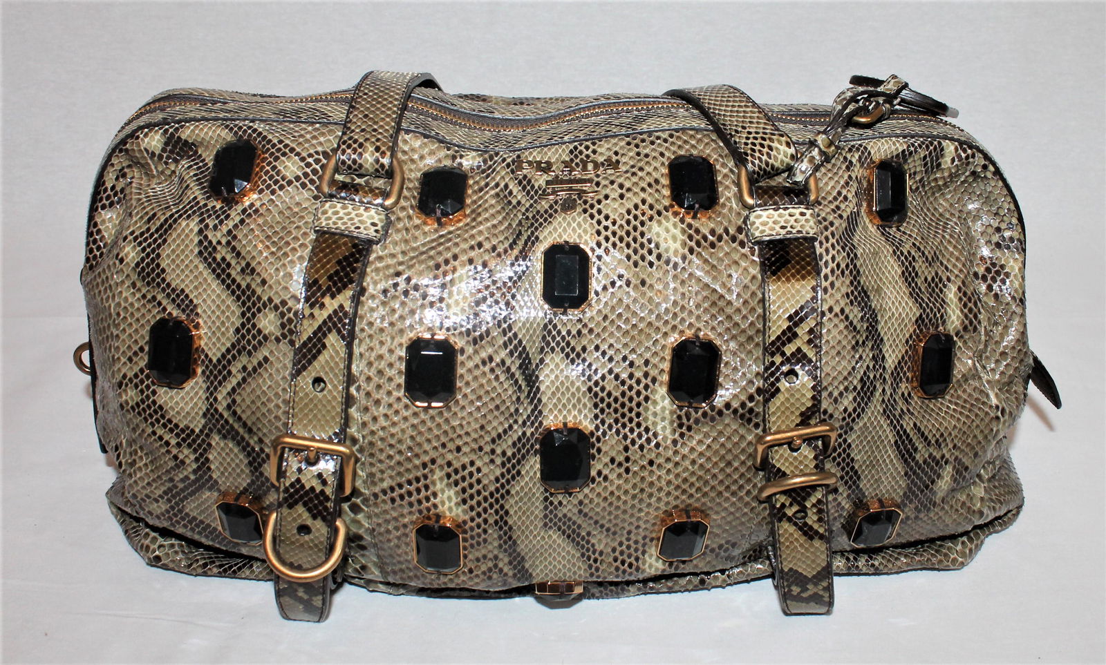 Prada Python Jeweled Satchel (1 of 9)