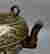 item-130773451=10
