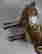 item-130773451=13