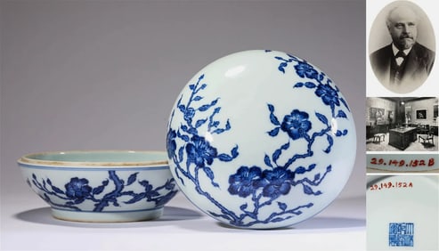 Chinese Qing dynasty blue and white plum blossom box and cover