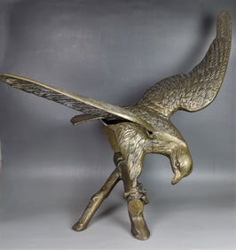 Large America bronze hawk