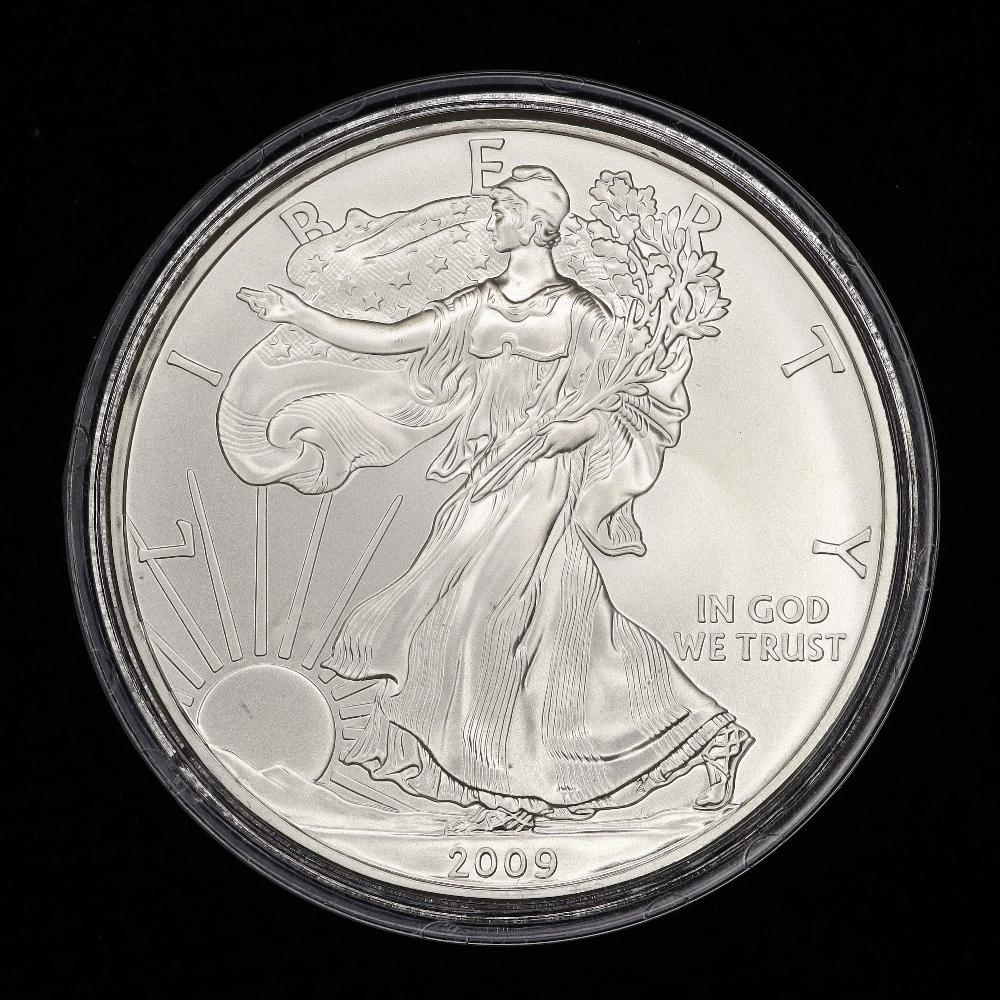 2009 American Eagle one oz fine silver one dollar coin (1 of 2)