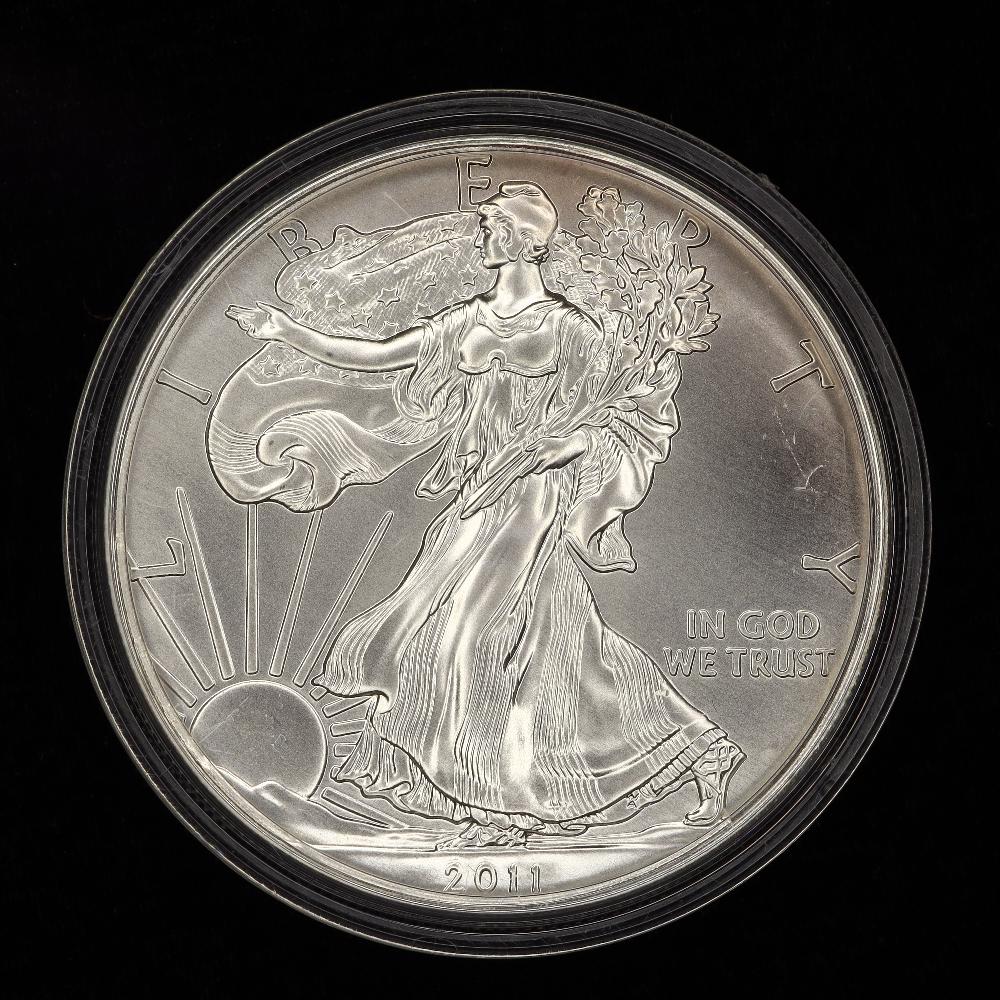2011  American Eagle one oz fine silver one dollar coin (1 of 2)