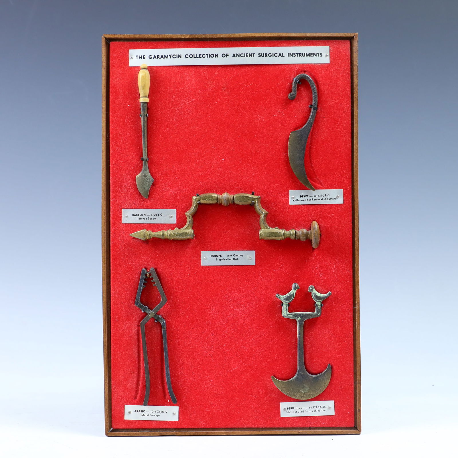 The Garamycin Collection of Ancient Surgical Instruments on Plaque (1 of 1)