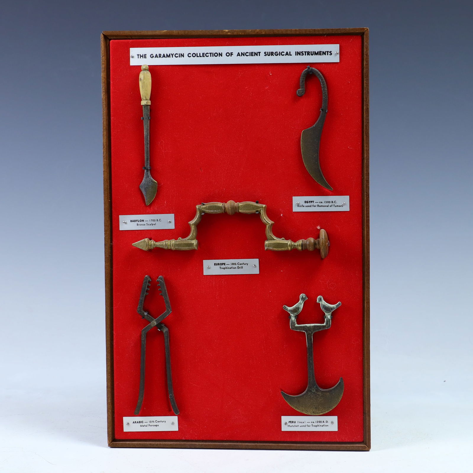 The Garamycin Collection of Ancient Surgical Instruments on Plaque (1 of 1)